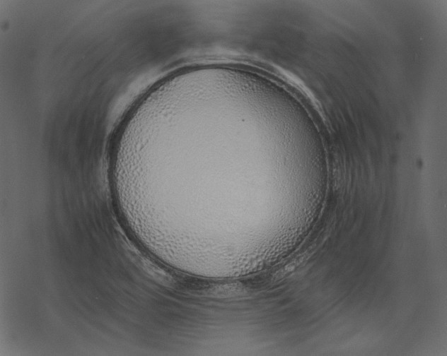 X0000077281464200611031513