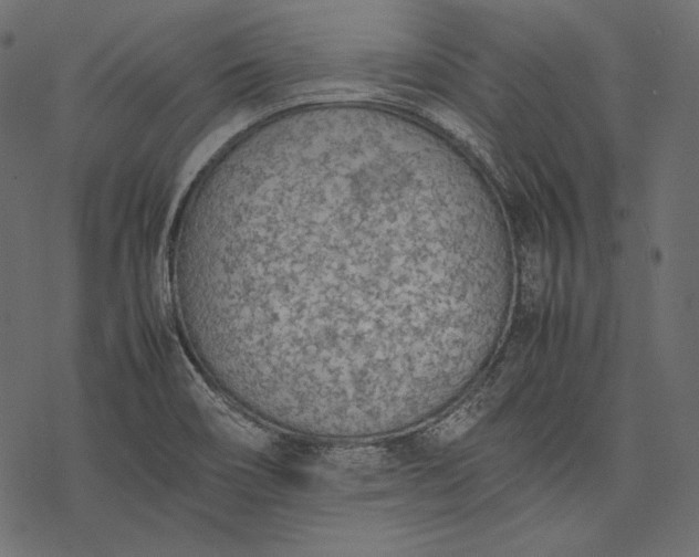 X0000077281466200611031513