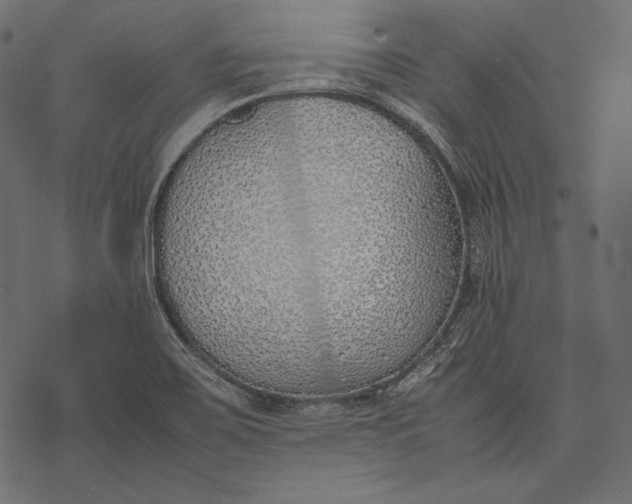 X0000077281467200611031513