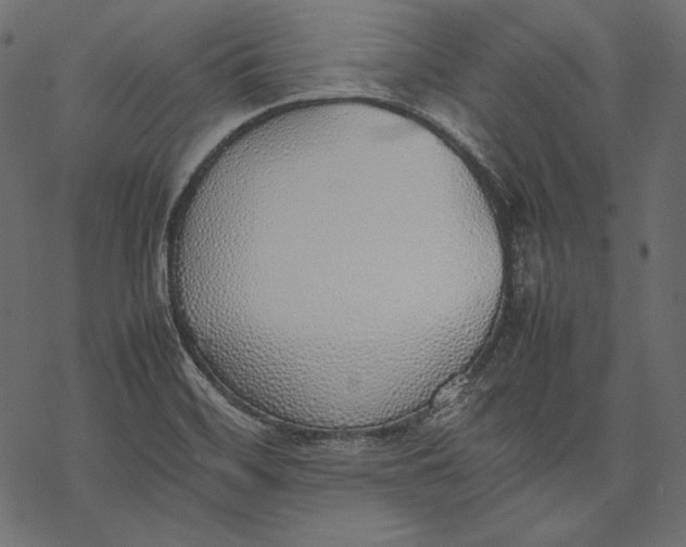 X0000077281468200611031513