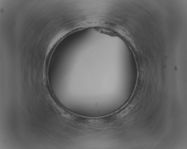 X0000077281469200611031513