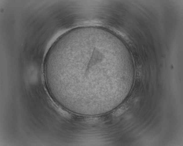 X0000077281470200611031513