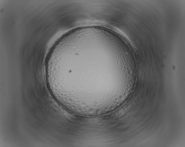 X0000077281472200611031513