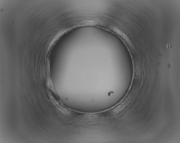 X0000077281473200611031513