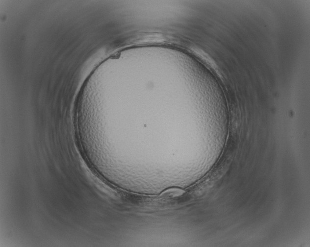 X0000077281475200611031513