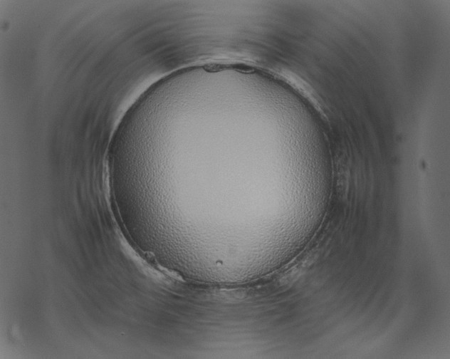 X0000077281476200611031513