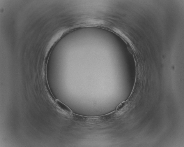 X0000077281477200611031513