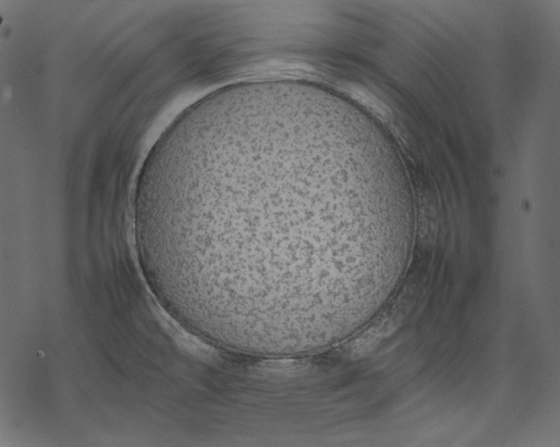 X0000077281478200611031513