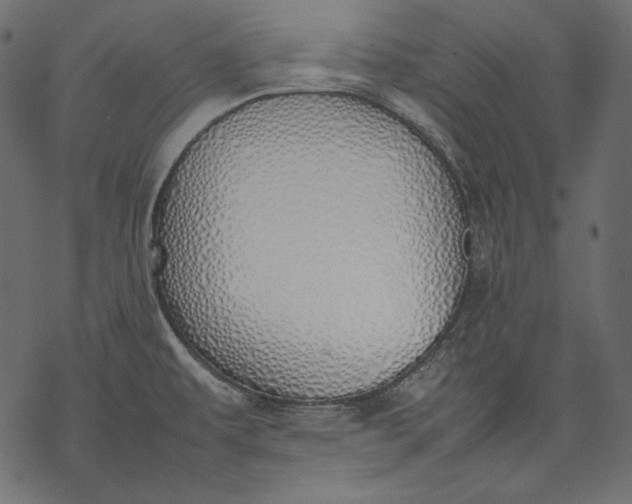 X0000077281479200611031513