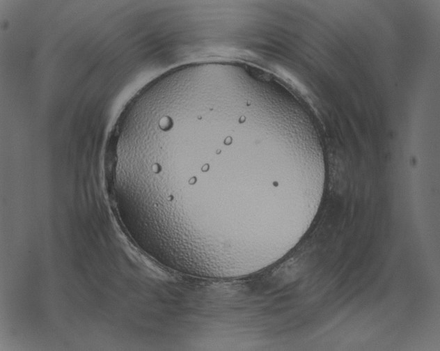 X0000077281480200611031513