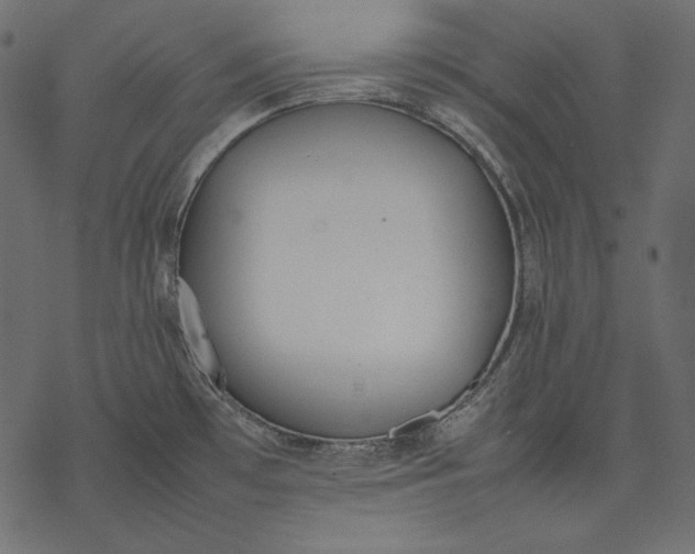 X0000077281481200611031513