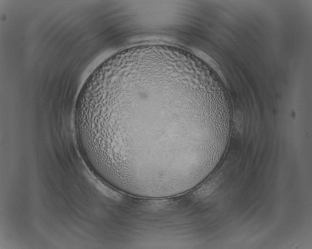 X0000077281482200611031513