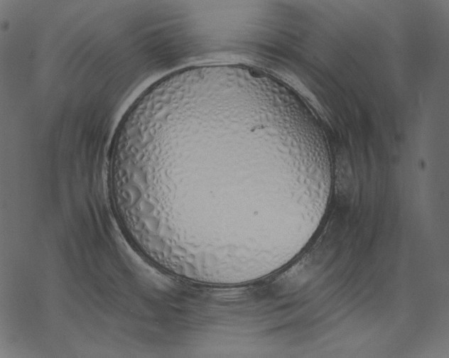 X0000077281484200611031513