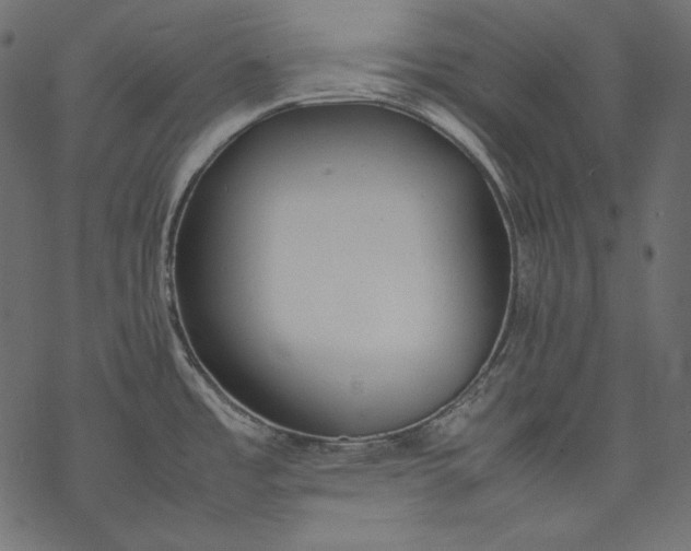 X0000077281485200611031513