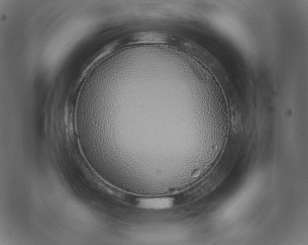 X0000077281487200611031513