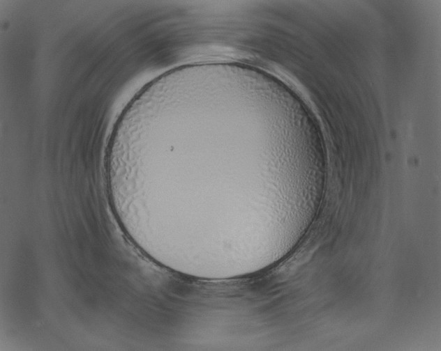 X0000077281488200611031513