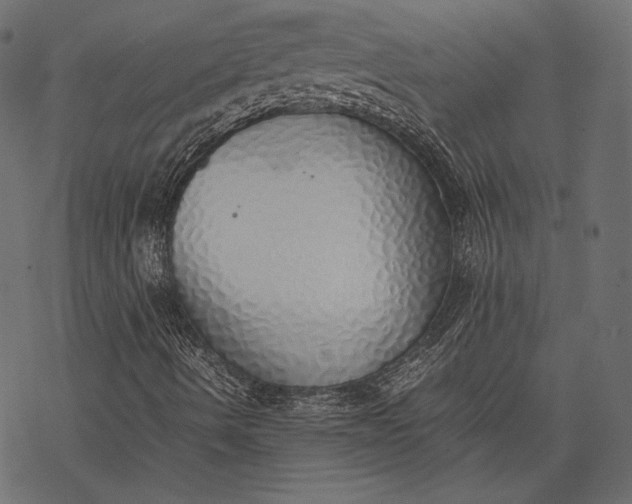 X0000077281490200611031512