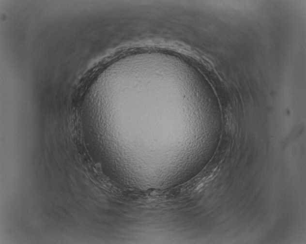 X0000077281494200611031512