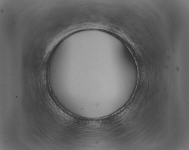 X0000077281504200611031512