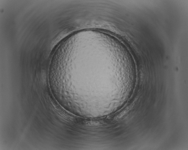 X0000077281505200611031512