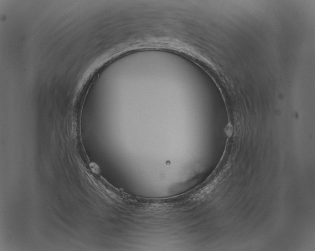 X0000077281506200611031512