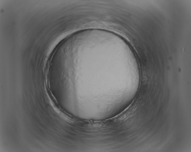 X0000077281515200611031512