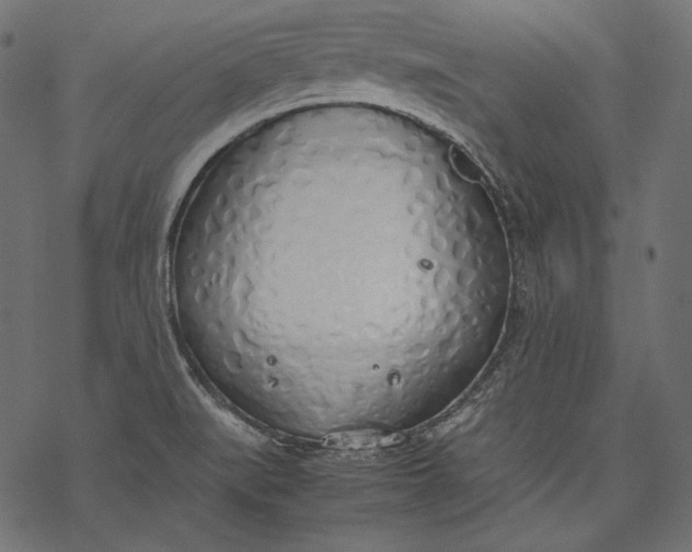 X0000077281519200611031512