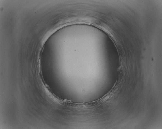 X0000077281524200611031512