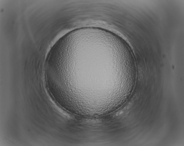 X0000077281525200611031512