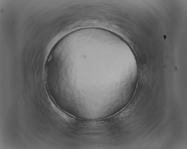 X0000077281527200611031512