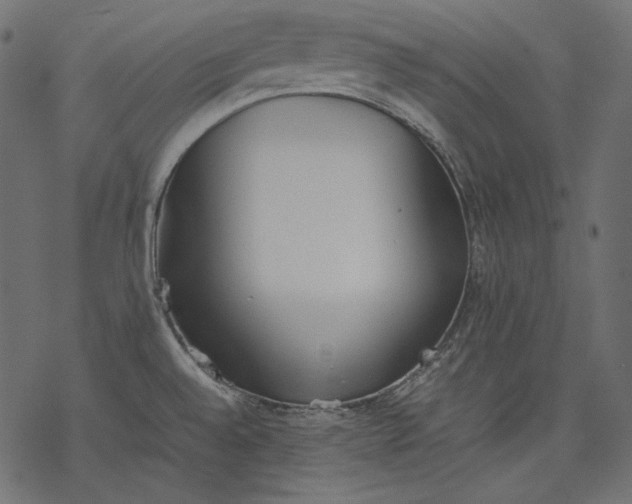 X0000077281528200611031512