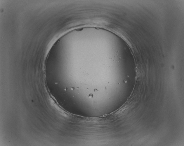 X0000077281532200611031513