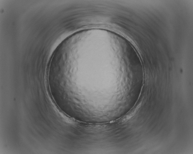 X0000077281533200611031513