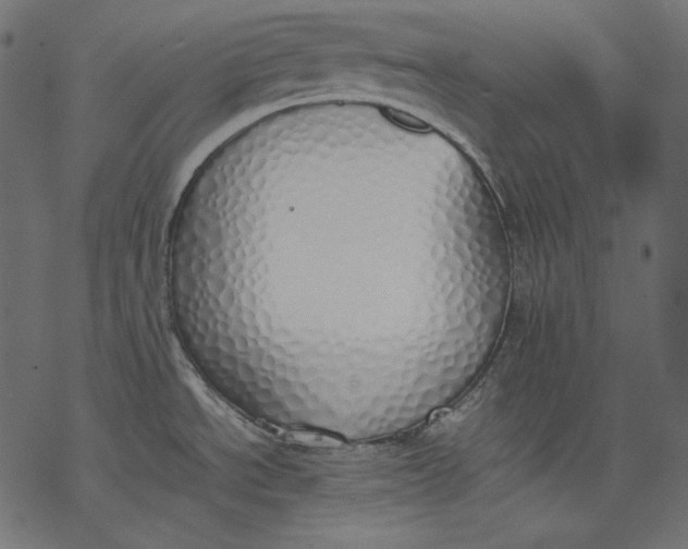 X0000077281534200611031513