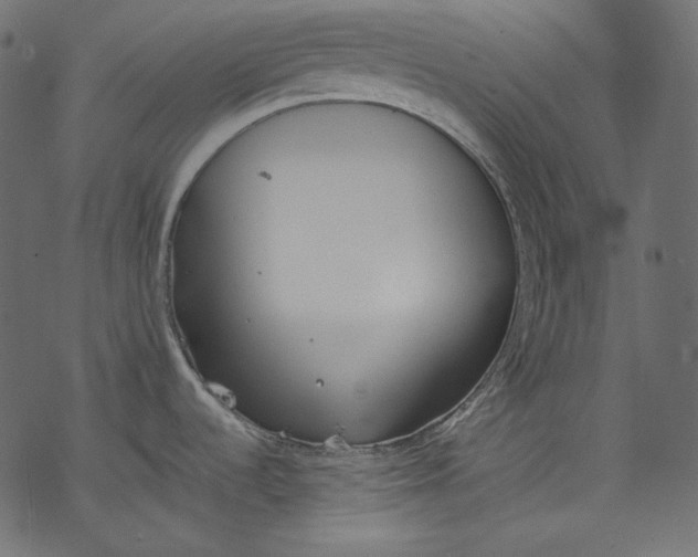 X0000077281536200611031513