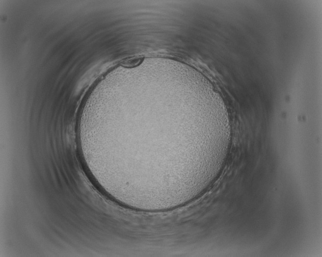 X0000077280002200611101329