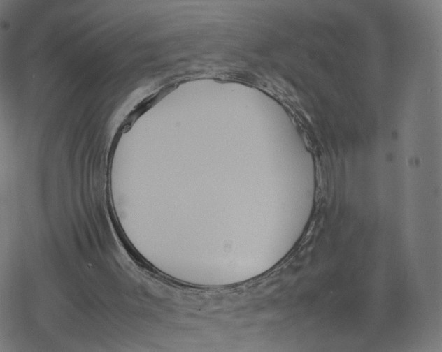 X0000077280003200611101329