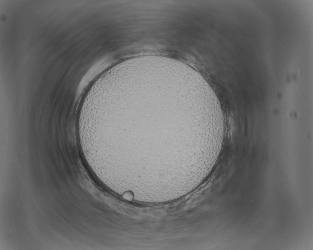 X0000077280004200611101329