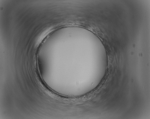 X0000077280005200611101329