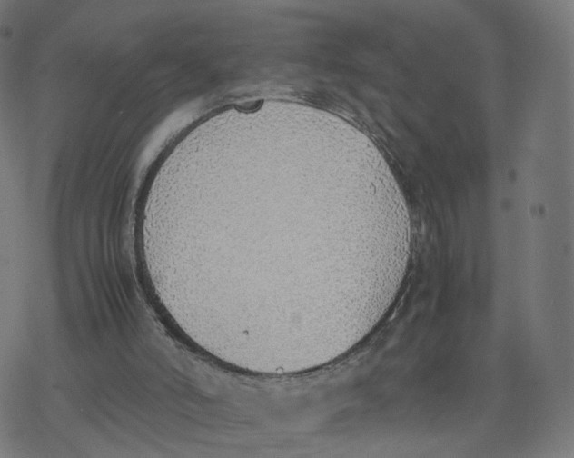 X0000077280006200611101329