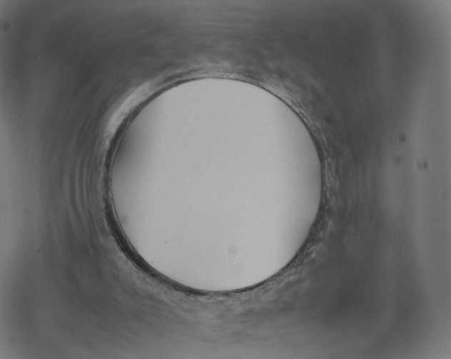 X0000077280007200611101329