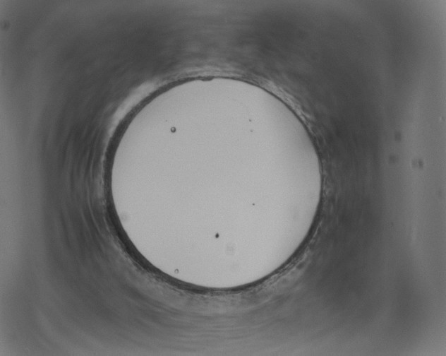 X0000077280008200611101329