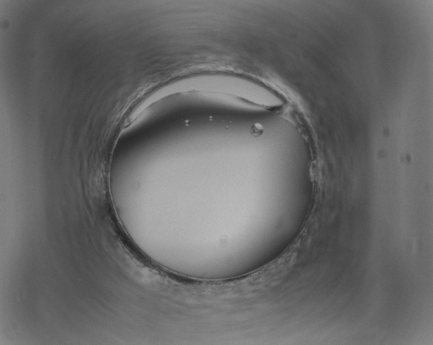 X0000077280009200611101329