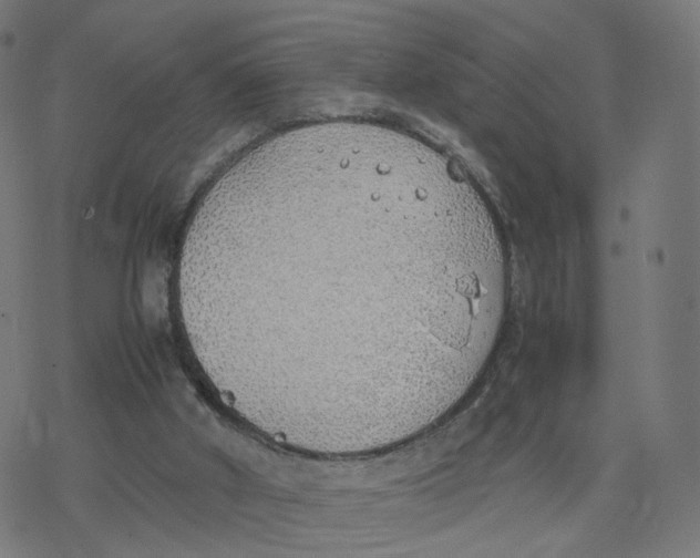 X0000077280010200611101329