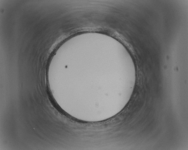 X0000077280011200611101329