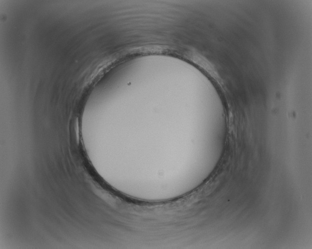 X0000077280013200611101329