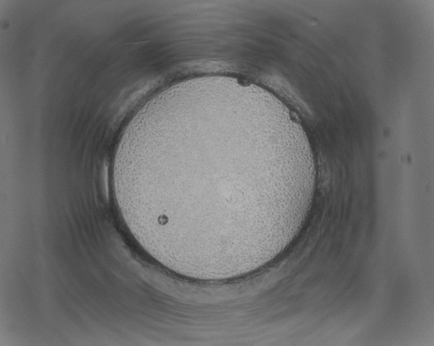 X0000077280014200611101329