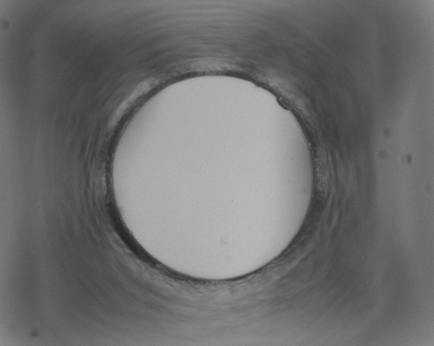 X0000077280015200611101329