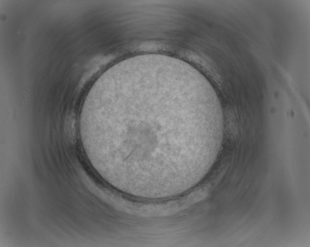 X0000077280016200611101329