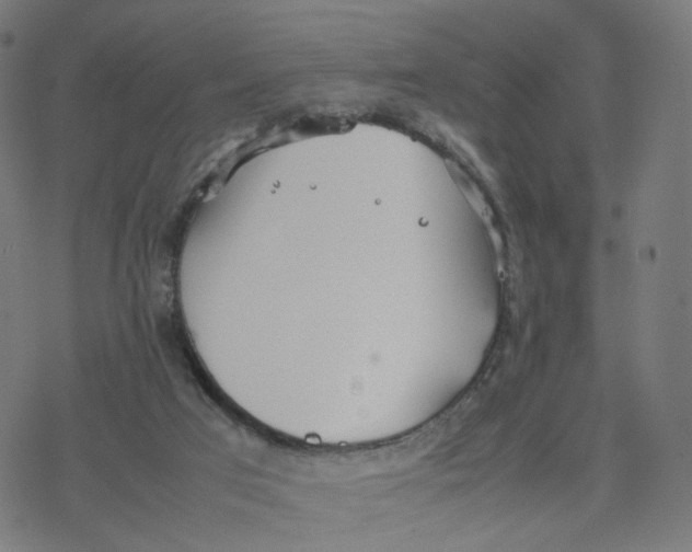 X0000077280017200611101329